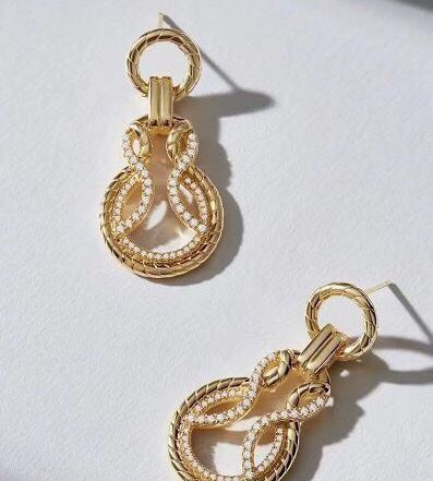 Bottega Veneta Earrings